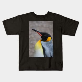 pinguin Kids T-Shirt